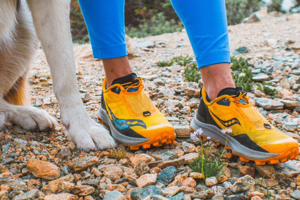 Kate and Moose have walked, hiked, and climbed their way across Colorado.